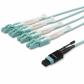 startechcom-mpo8lcpl2m-cable-de-fibra-optica-2-m-mpo-mtp-8x-lc-om3-color-aguamarina