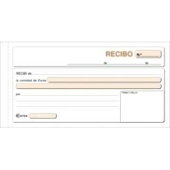 Talonario Recibos Duplicado Loan (48D)
