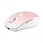 tnb-mwgradientpk-raton-mano-derecha-bluetooth-usb-type-c-1600-dpi