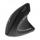 tnb-wmwergov-raton-universal-mano-derecha-bluetooth-1600-dpi
