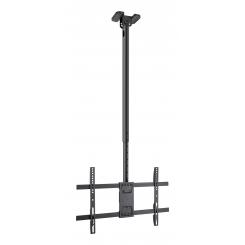 TooQ Soporte de Techo para Pantallas 43