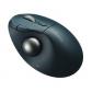 Trackball inalámbrico TB550 ProFit® Ergo Kensington, batería recargable, negro y plata