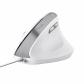 trust-bayo-ii-raton-oficina-mano-derecha-usb-tipo-a-optico-2400-dpi