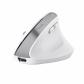 trust-bayo-raton-oficina-mano-derecha-rf-wireless-bluetooth-optico-2400-dpi