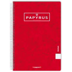 Unipapel Cuaderno. T.Contra  Papyru Fº 80H/90G cuadricula 4X4 Sur
