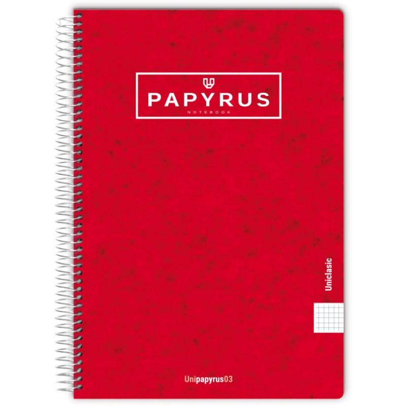 unipapel-cuaderno-tcontra-papyru-fº-80h-90g-cuadricula-4x4-sur