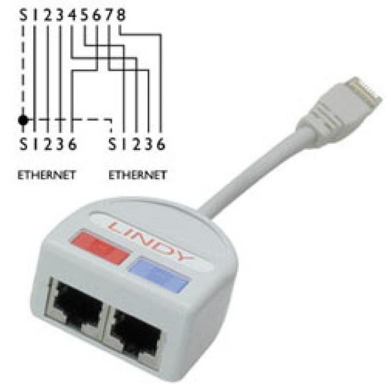 utp-port-doubler-cable-de-red-gris
