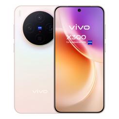 VIVO X300 16 cm (6.31