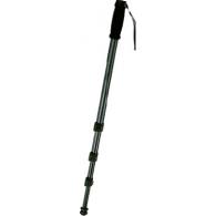 Walimex WT-1003 Negro, Gris