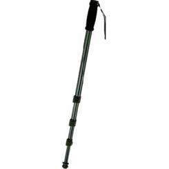 Walimex WT-1003 Negro, Gris